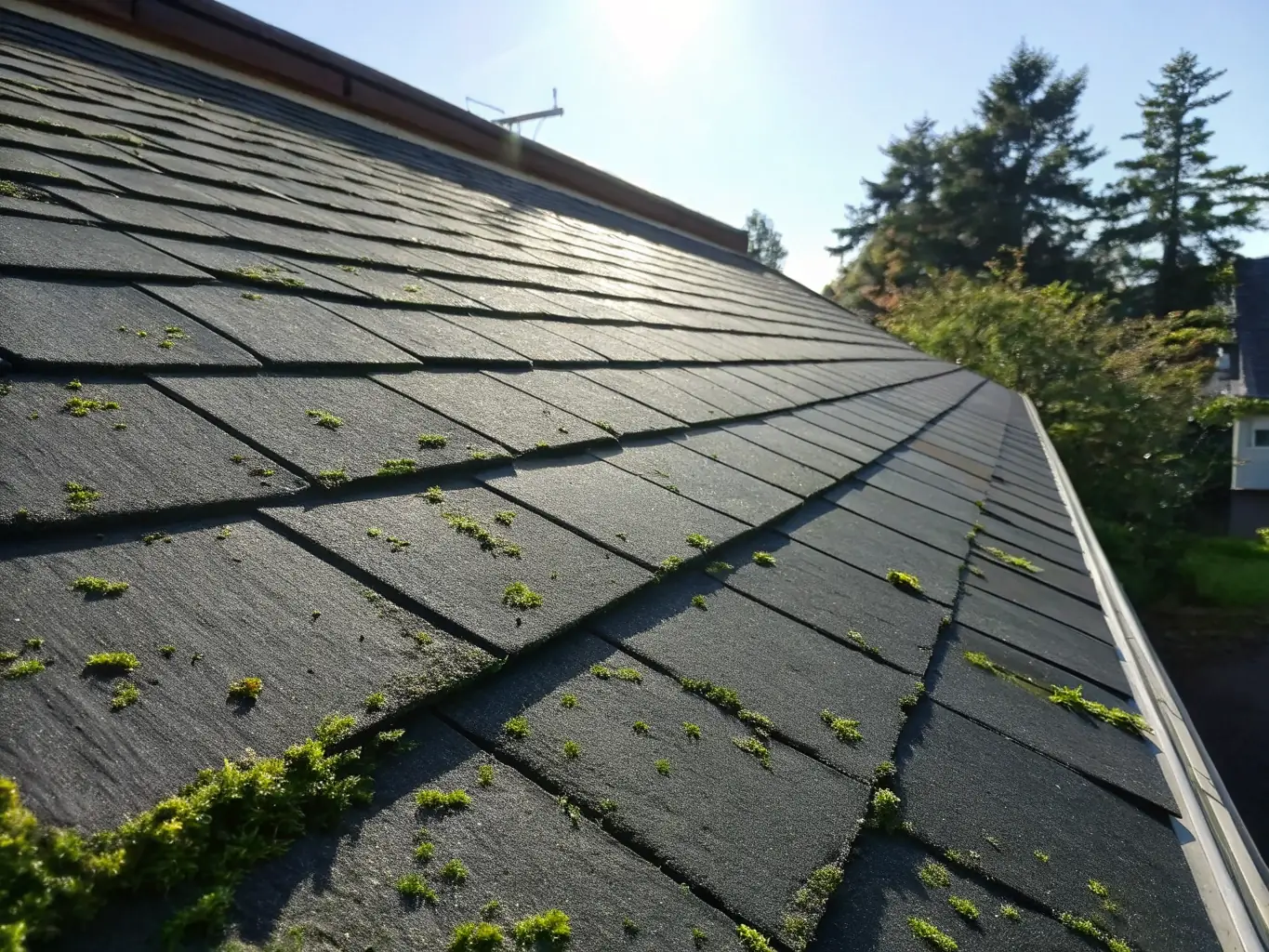 An image of a roof that has been restored using NanoRevive's restoration services, highlighting the improved appearance and structural integrity of the roof.